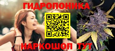 эйфоретик Донской