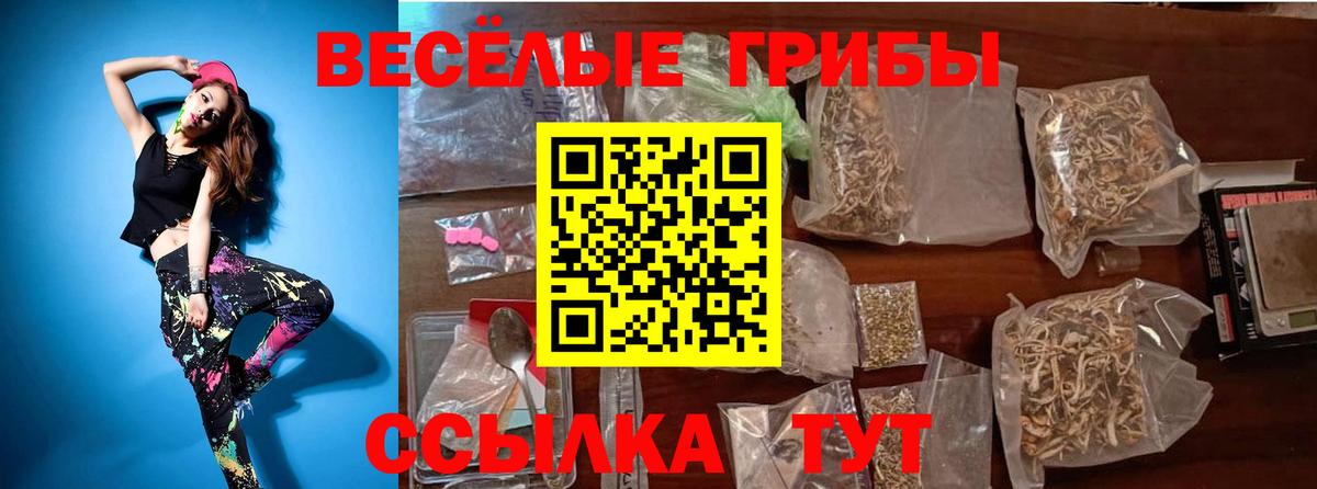 Нефтекамск  Галлюциногенные грибы Psilocybe  Вход с VPN  купить закладку  Галлюциногенные грибы ЛСД 
